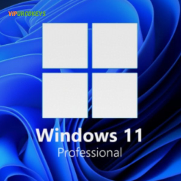 Windows 11 Pro